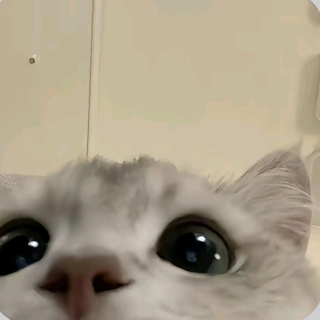 小开心