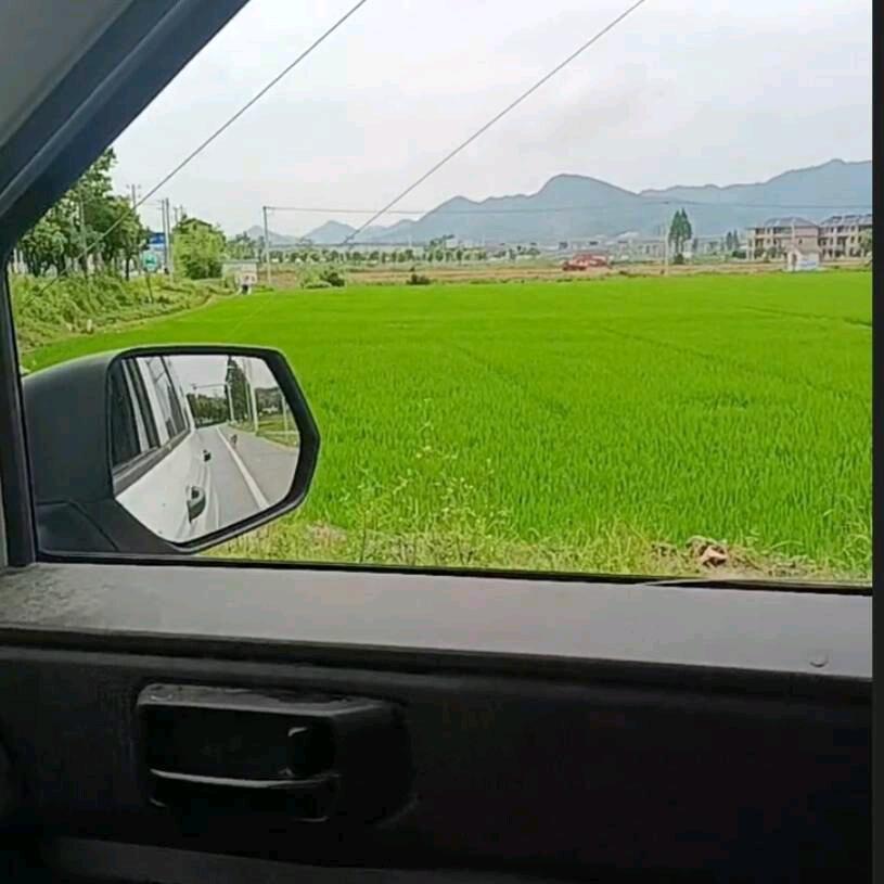 ᭄🌴风行天下ঞ