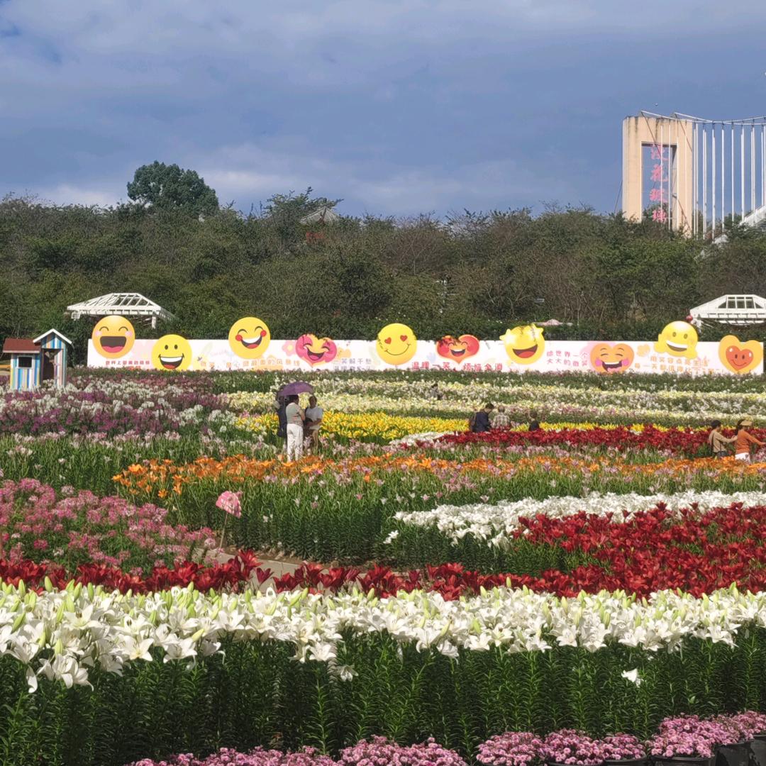 🌻清訫❤️柠檬🌻