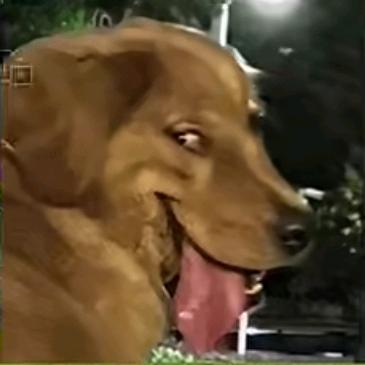 遇见即是上上签