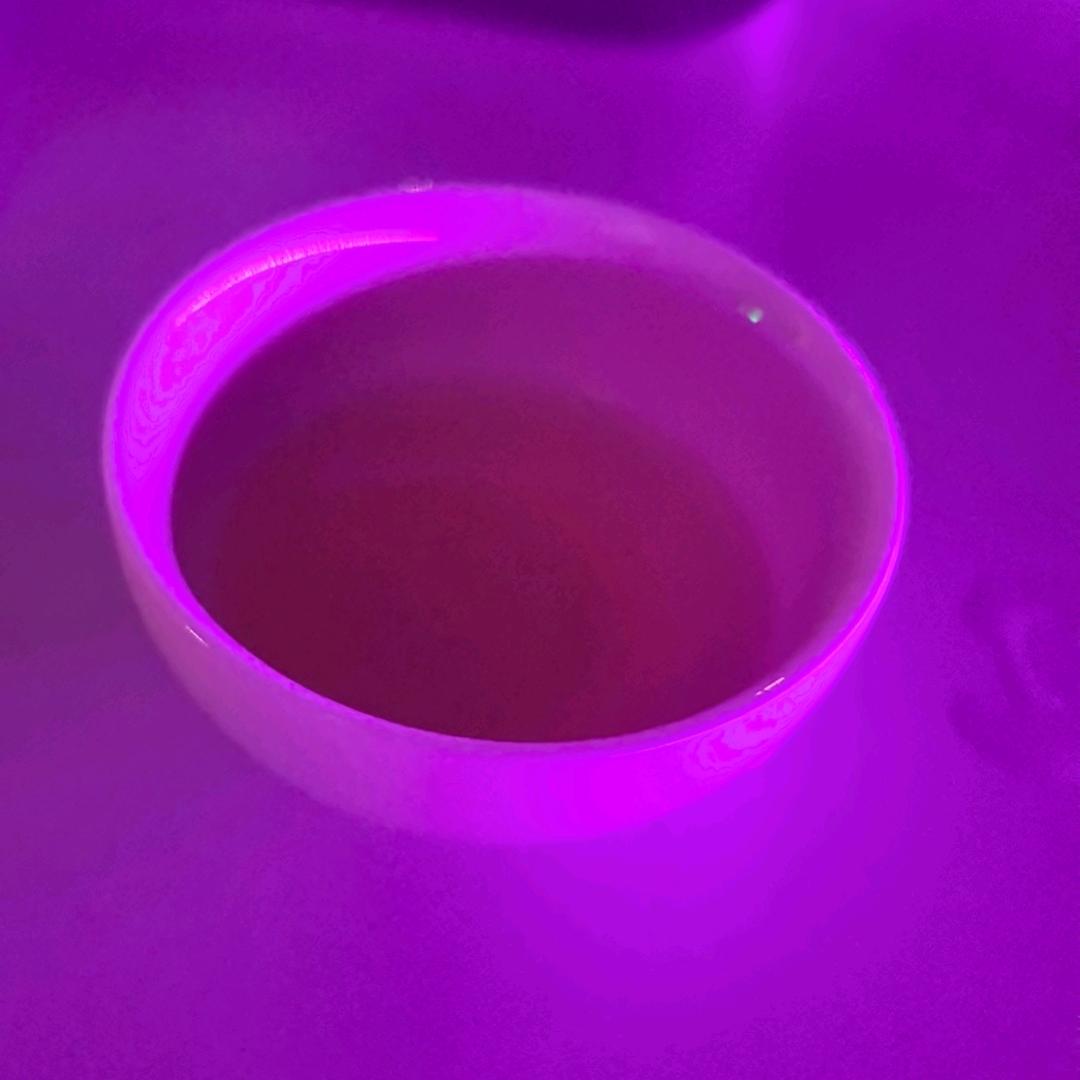 丑得想整容