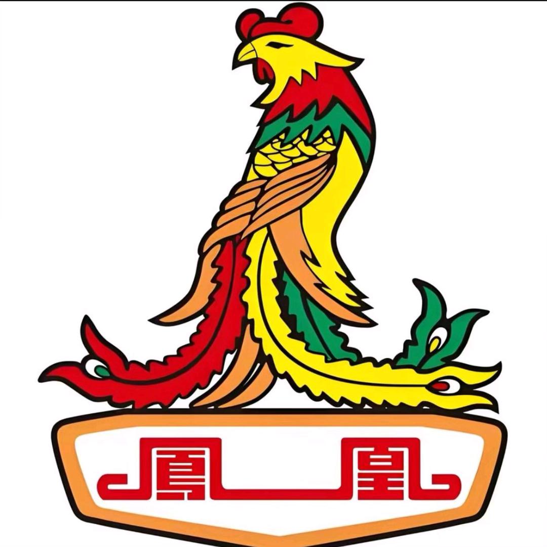 凤凰电摩工厂店
