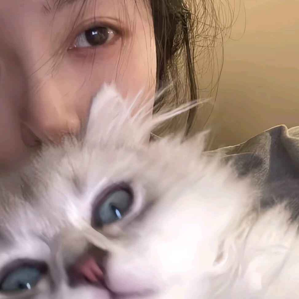 小小羊.