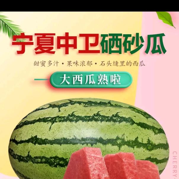 宁夏硒砂瓜代办