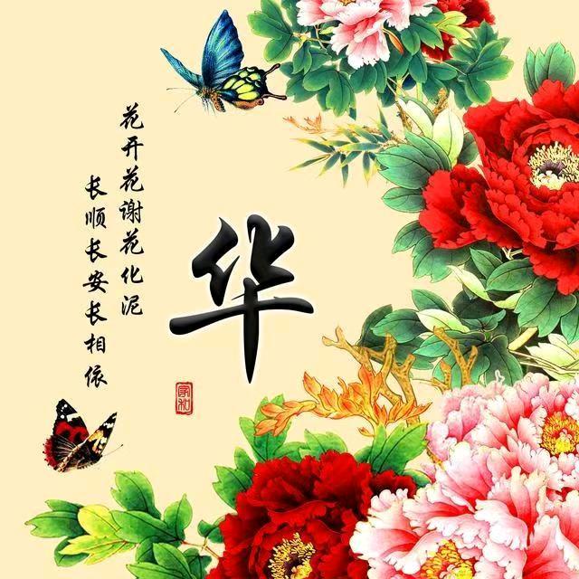 人生导航华老师