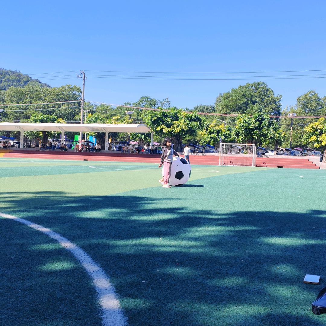 陈店新兴-褚霆信息咨询