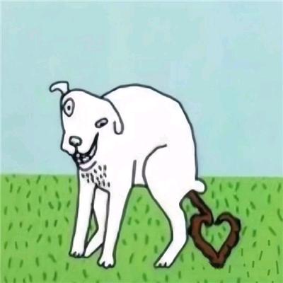 量子猫连庄十八把头像