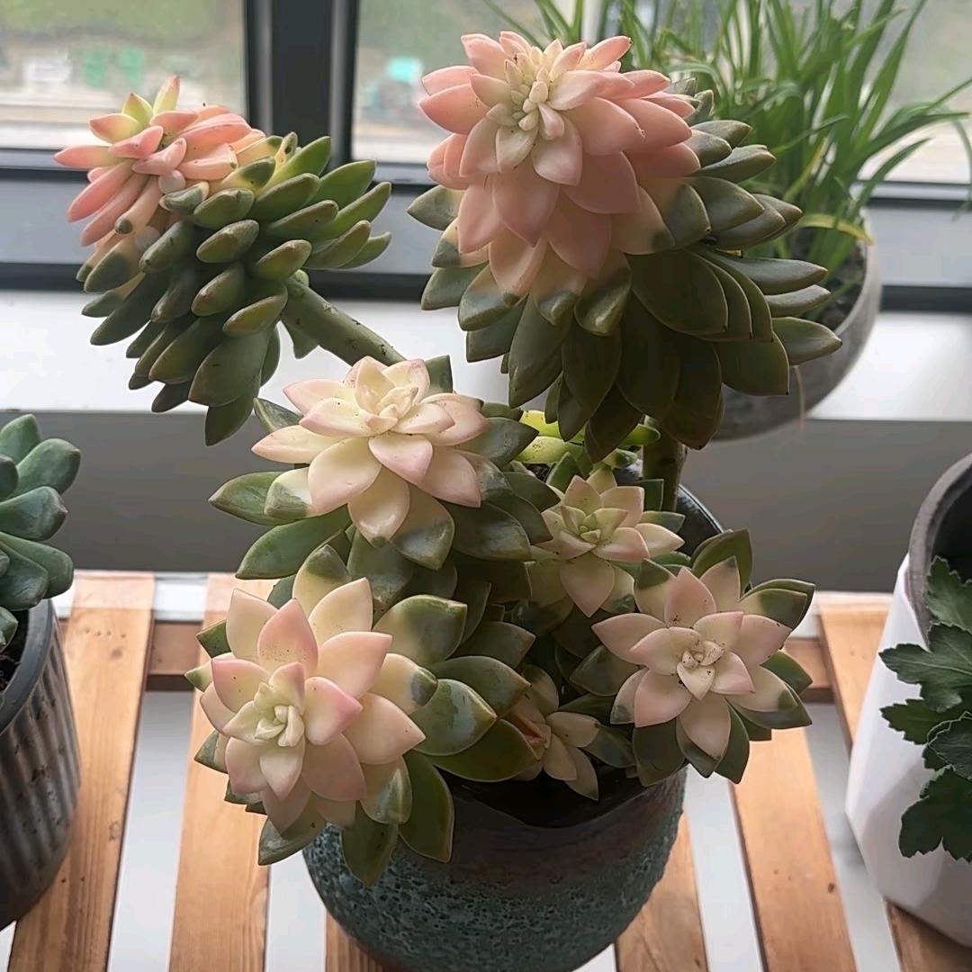 知ོ南茶温暖ꦿ༊゜