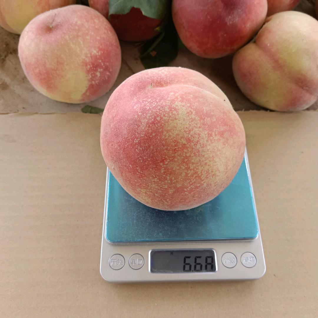 小明甄选
