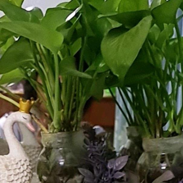 天天有个好心情