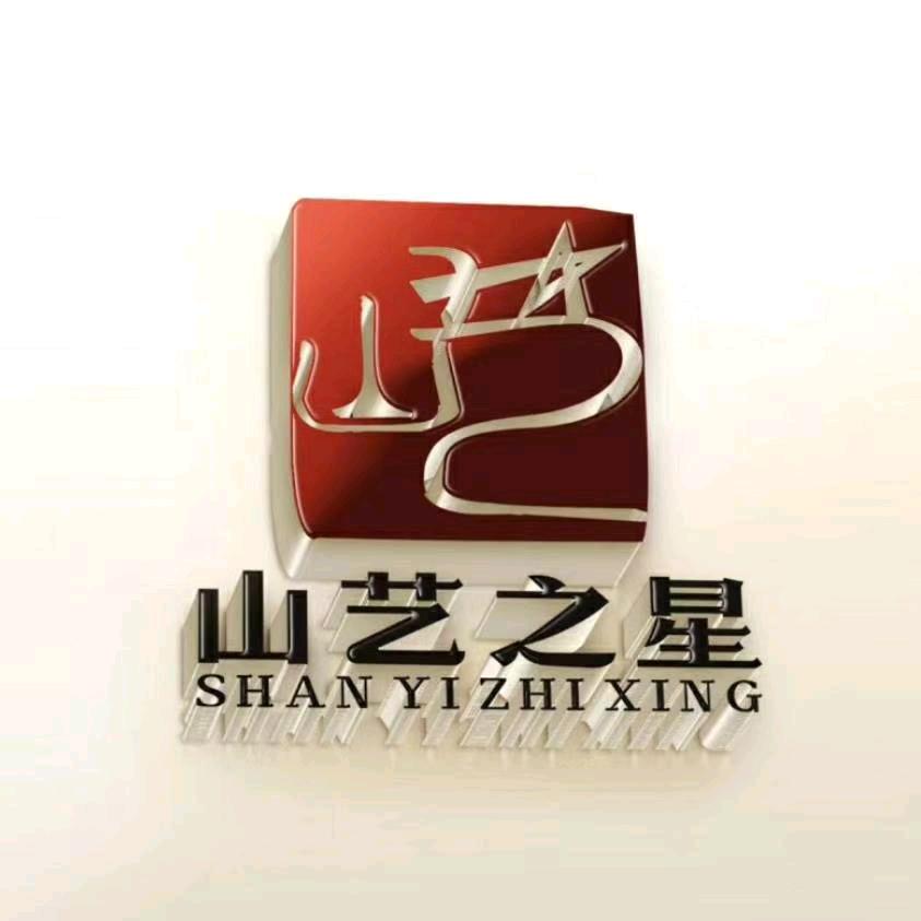 济南山艺之星培训学校