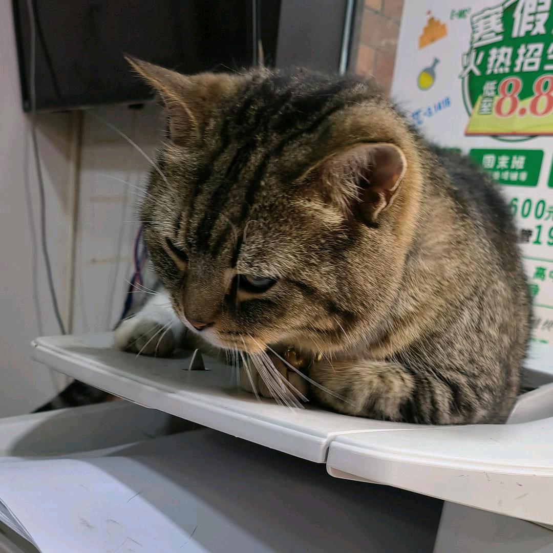 💐梦🌹瑶🍃🍃