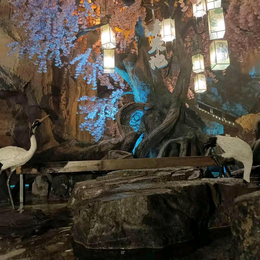 🌺🌲跳跳🌲☘️