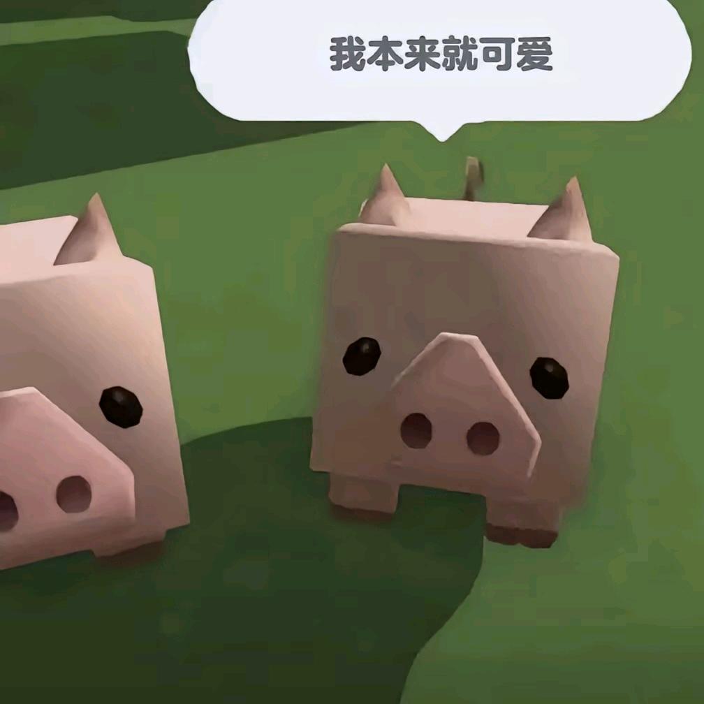 小🐟.