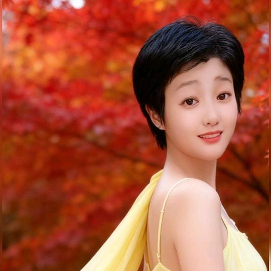 梦落婵