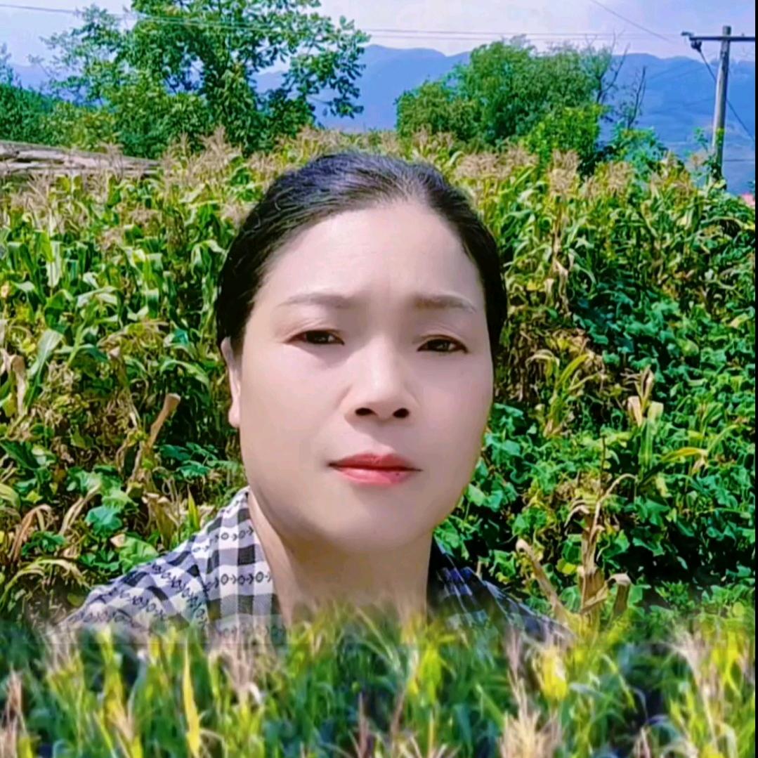 小琴妹