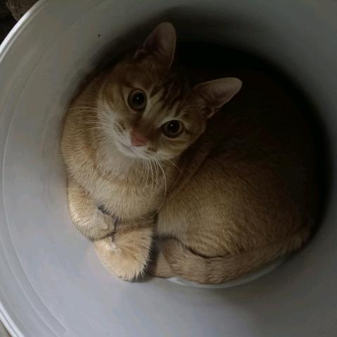 小世界。