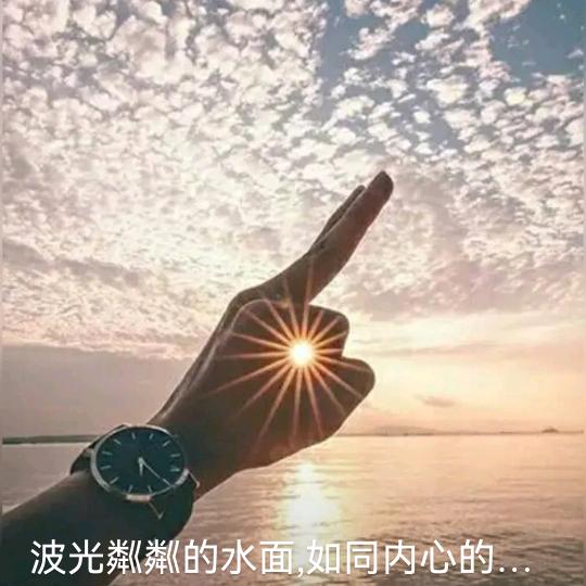 远海飞翔的一粒沙