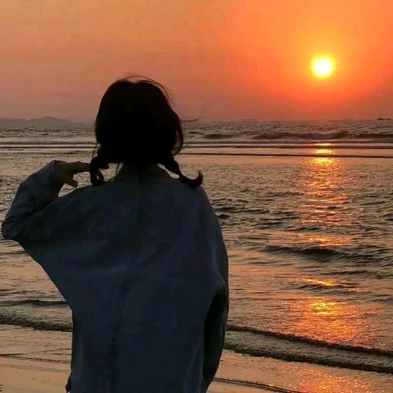 园园爱甄选好物