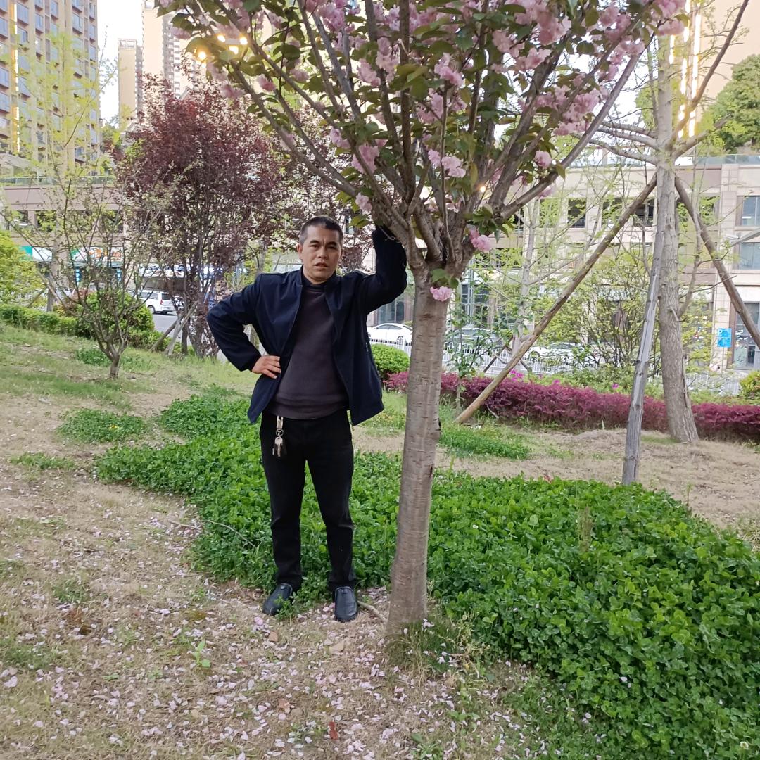 真心真意爱你