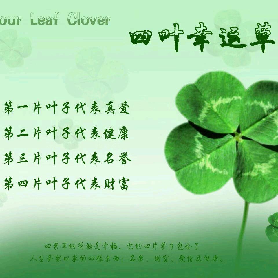 越一翔