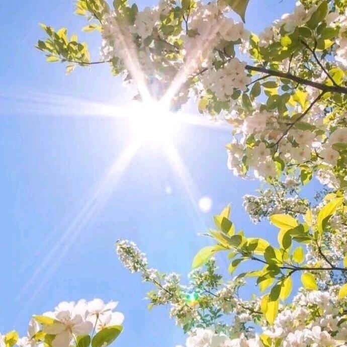 兰轩读书（家庭教育）