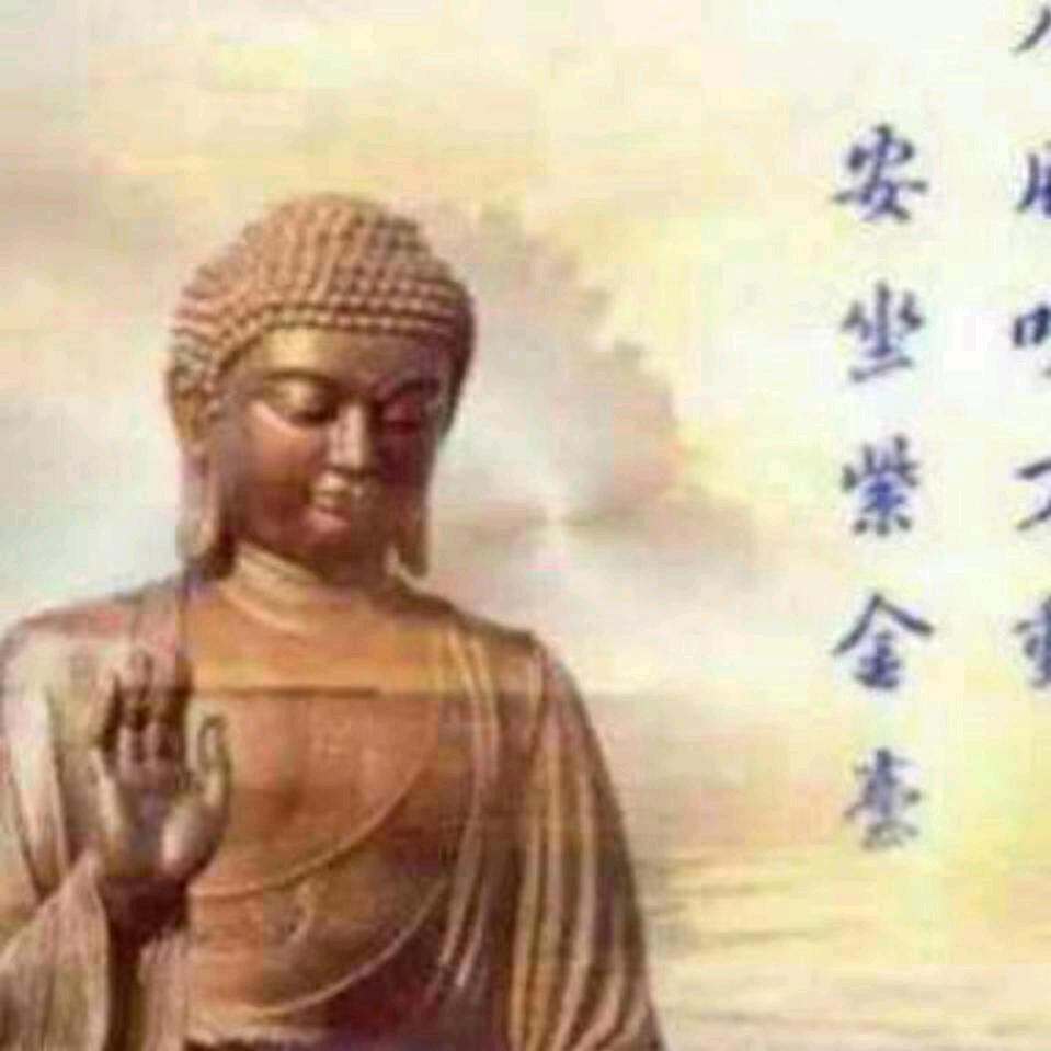 风雨中的彩彩虹