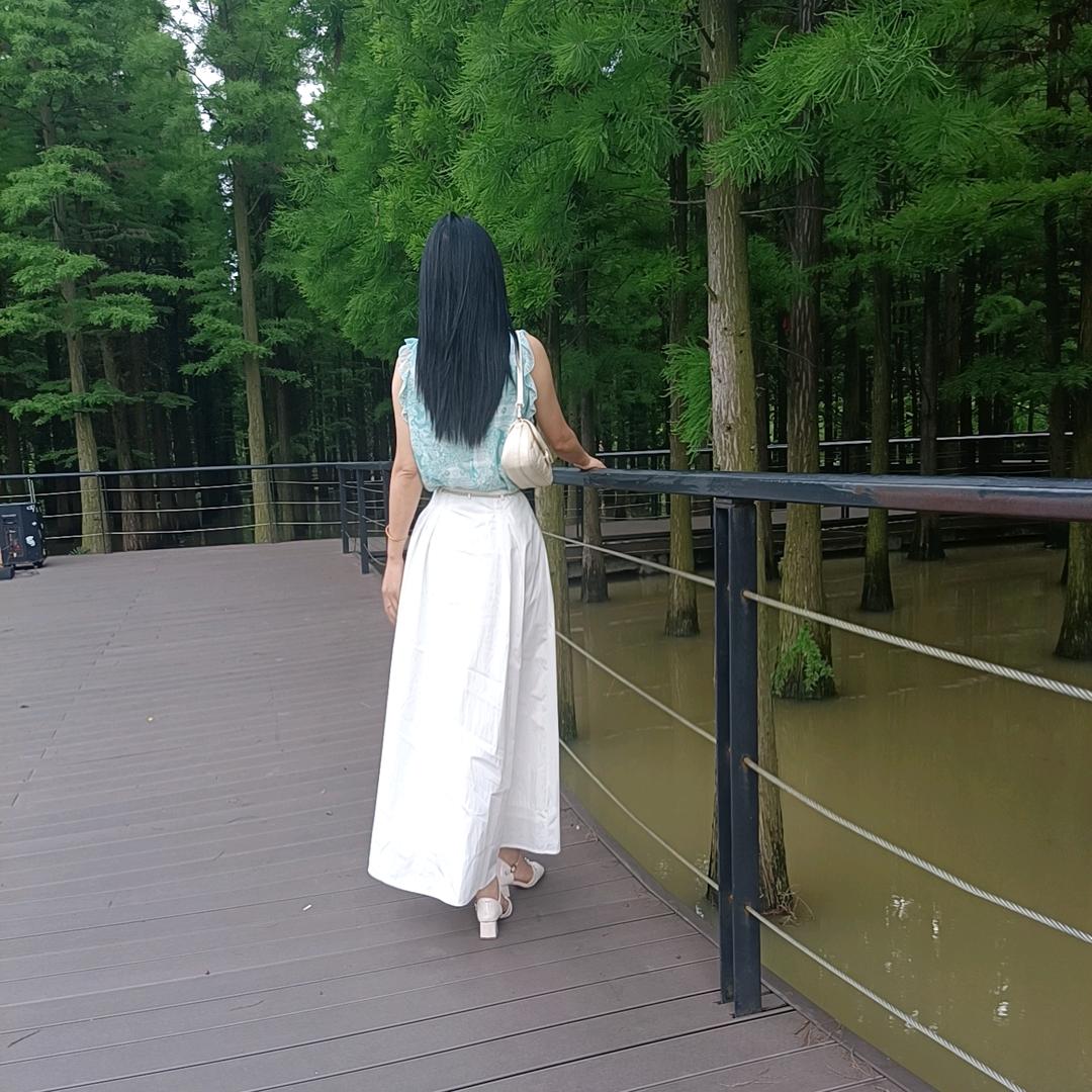 风信子