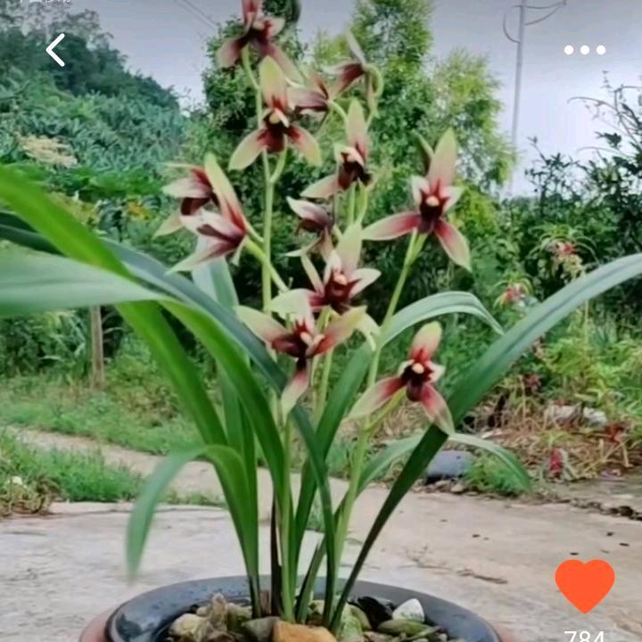 浪悠悠   拒 聊，以诚相待