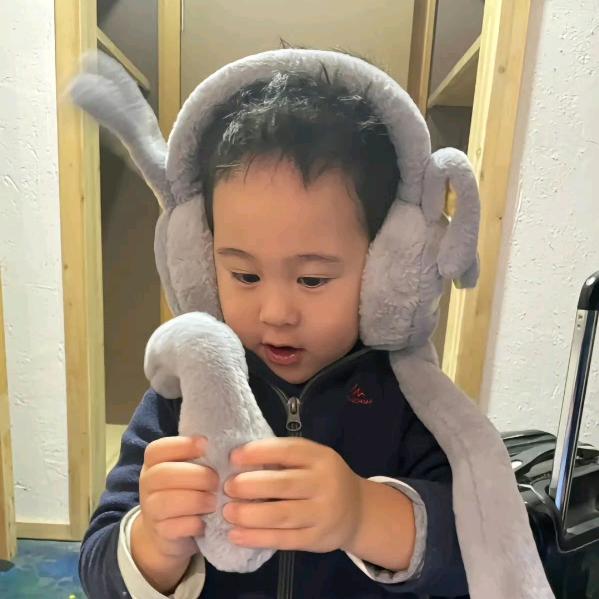 哇哦呕