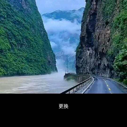 阳子
