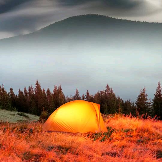 惠民于姐炸货大王