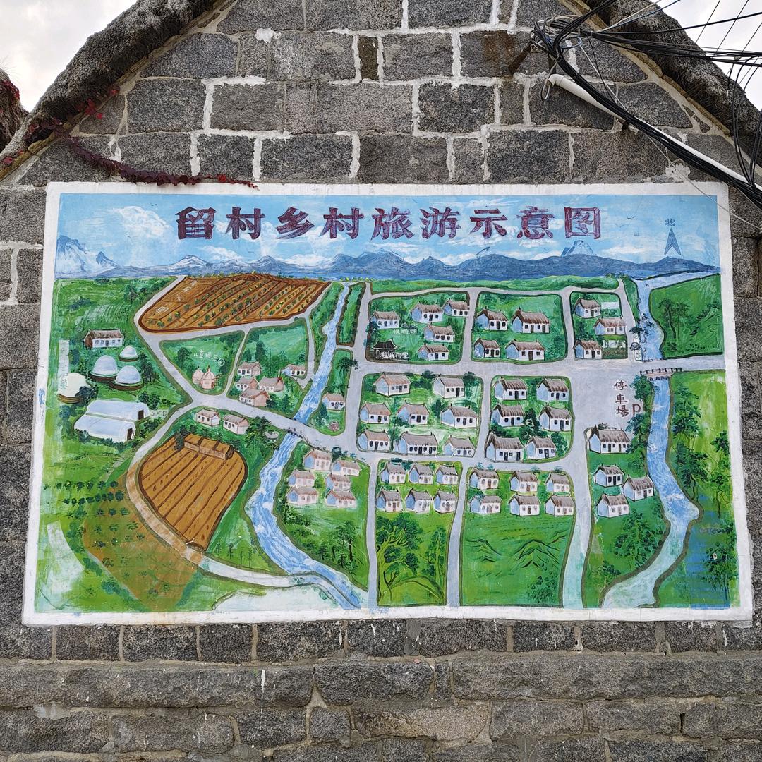 我在留村有棵树