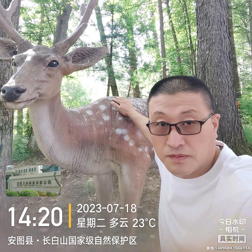 菩提树下龍