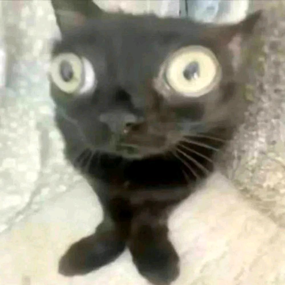 宅男尿