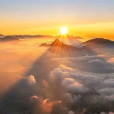 ꦻ🥀⃨烟酒ꦼ疗ꦿ心⃟伤࿐