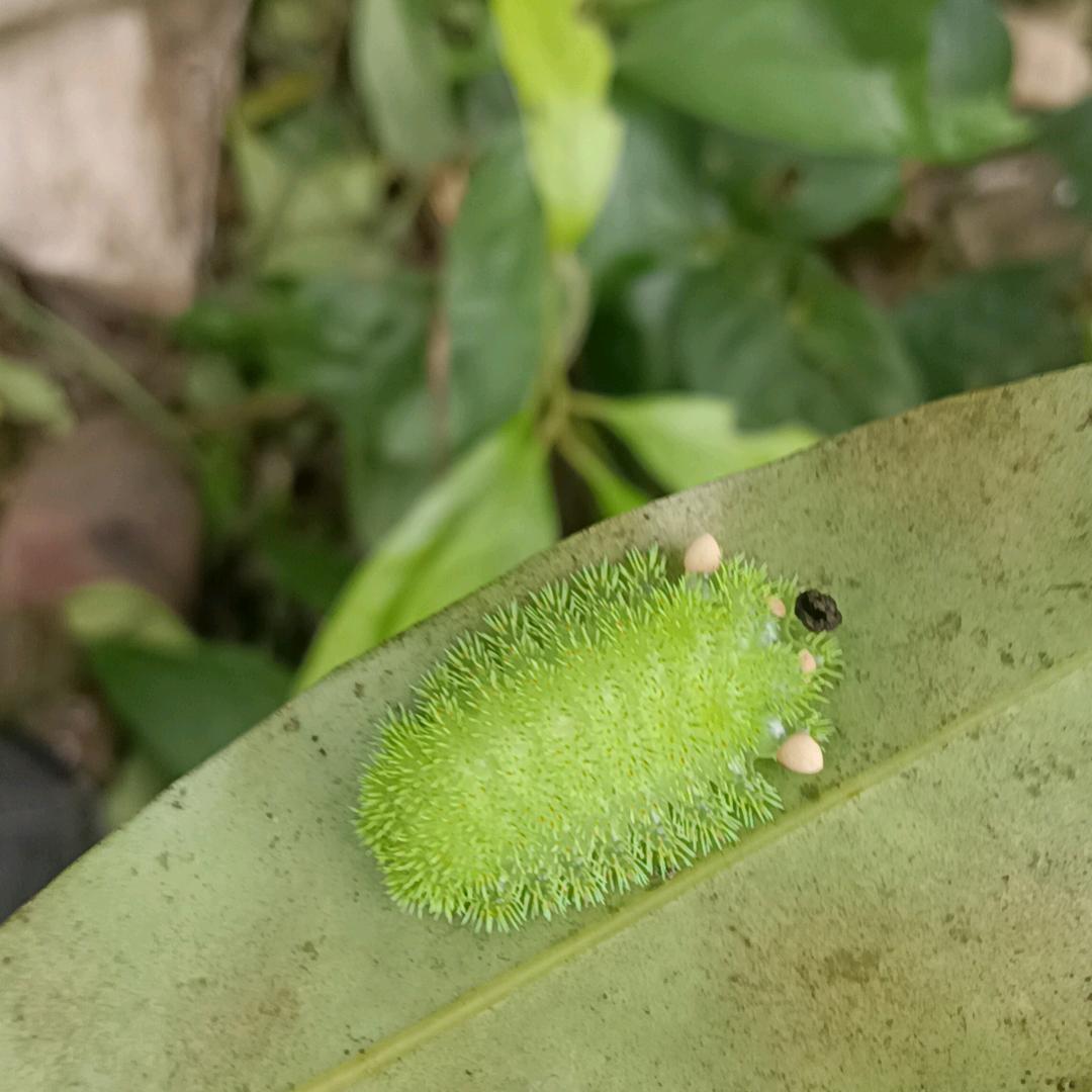 💞ℒᎭℯ⃝眼里只有你💕⁵²º࿐