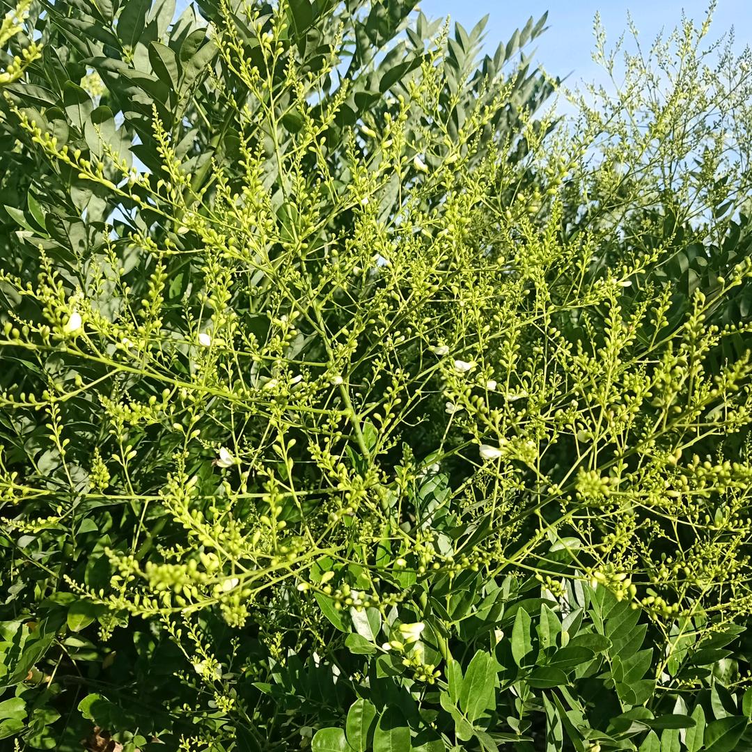 牵挂231550