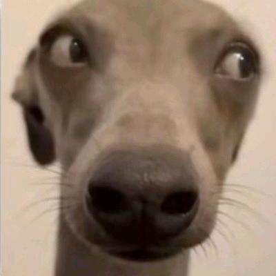 把你抓去种香菜