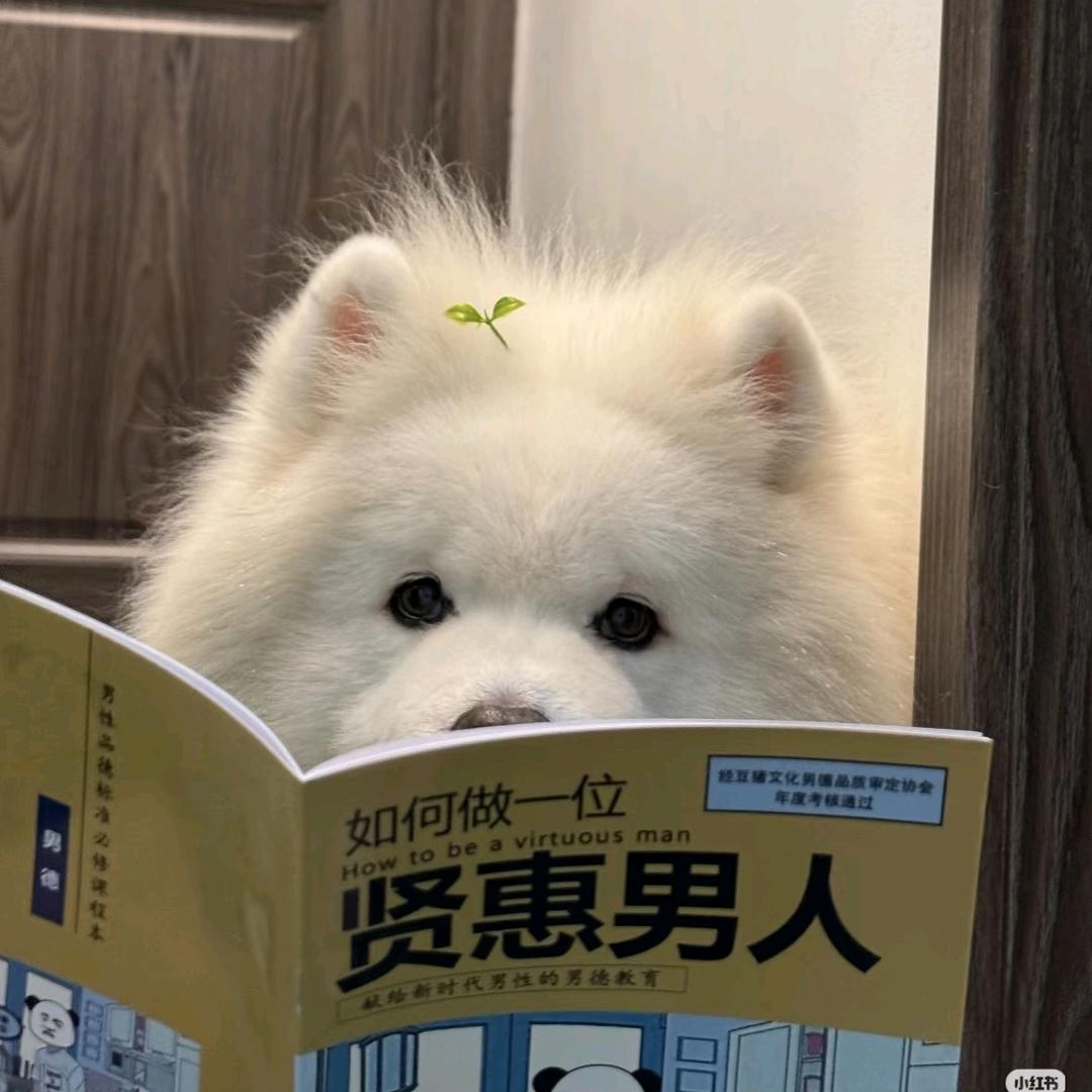 雲归时.