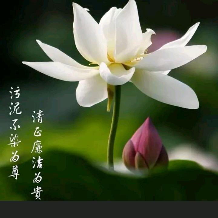 童心乐