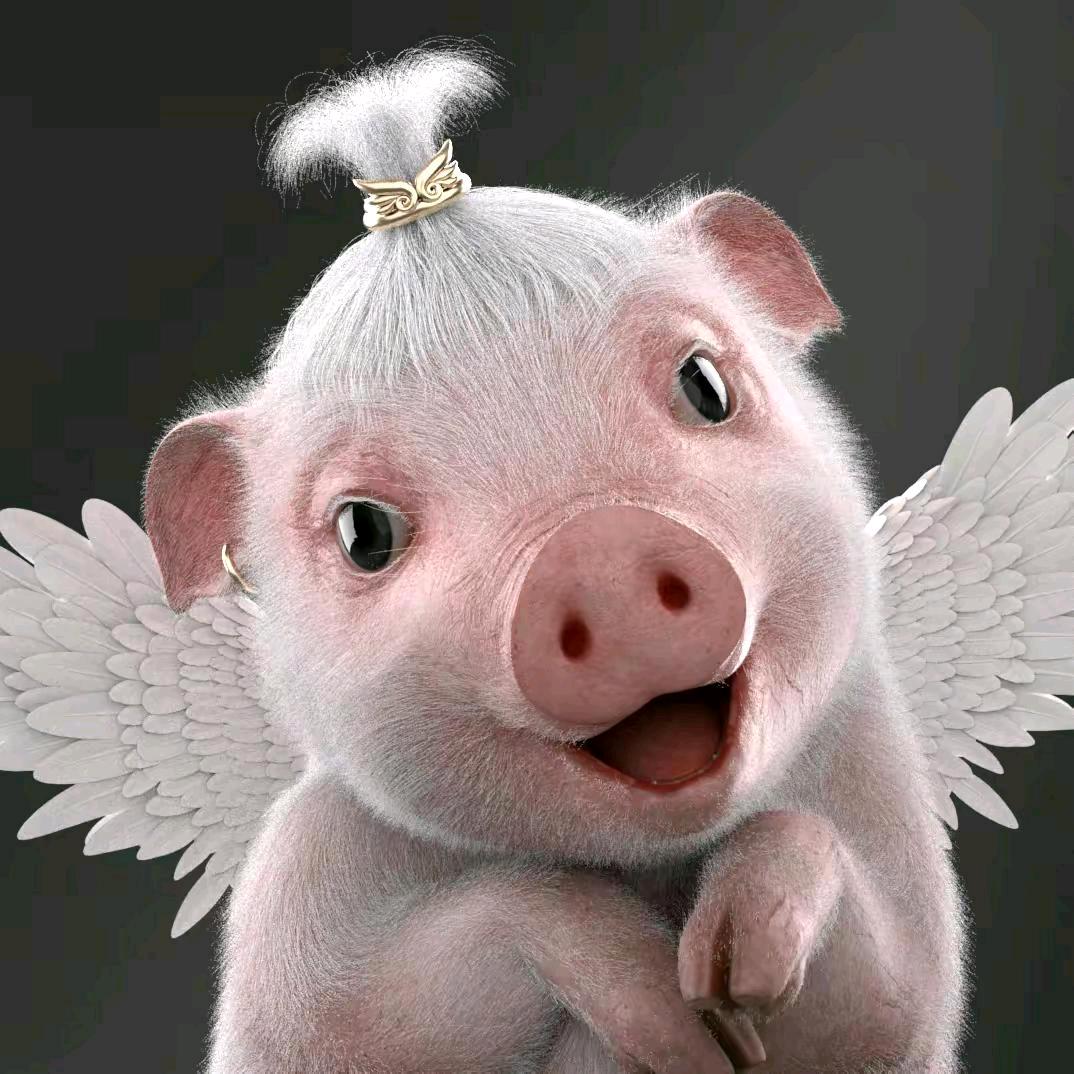 飞猪迈萌（猪小迈）