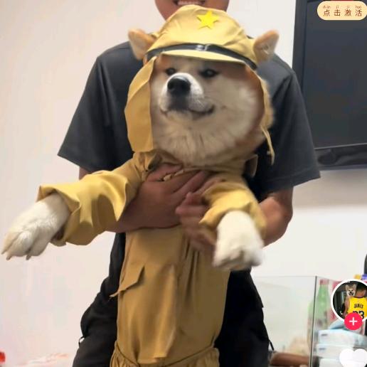 ！？？！？