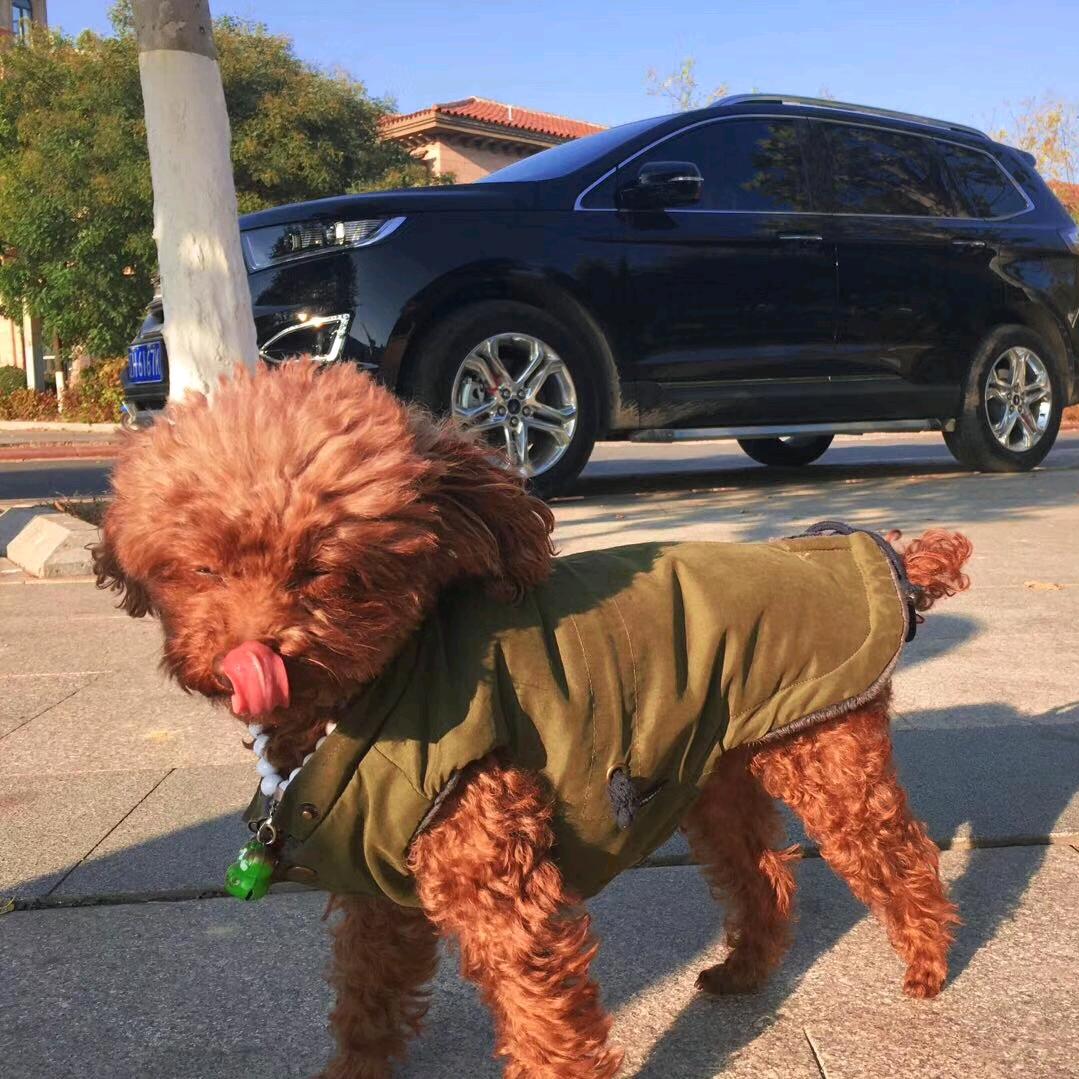 OOoo