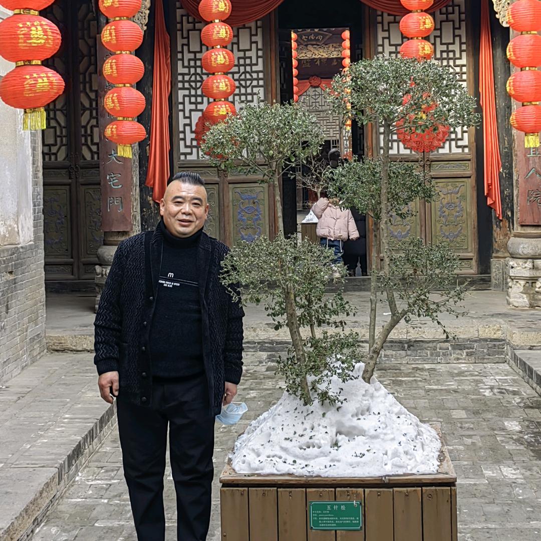 陈小阳演艺一条龙服务