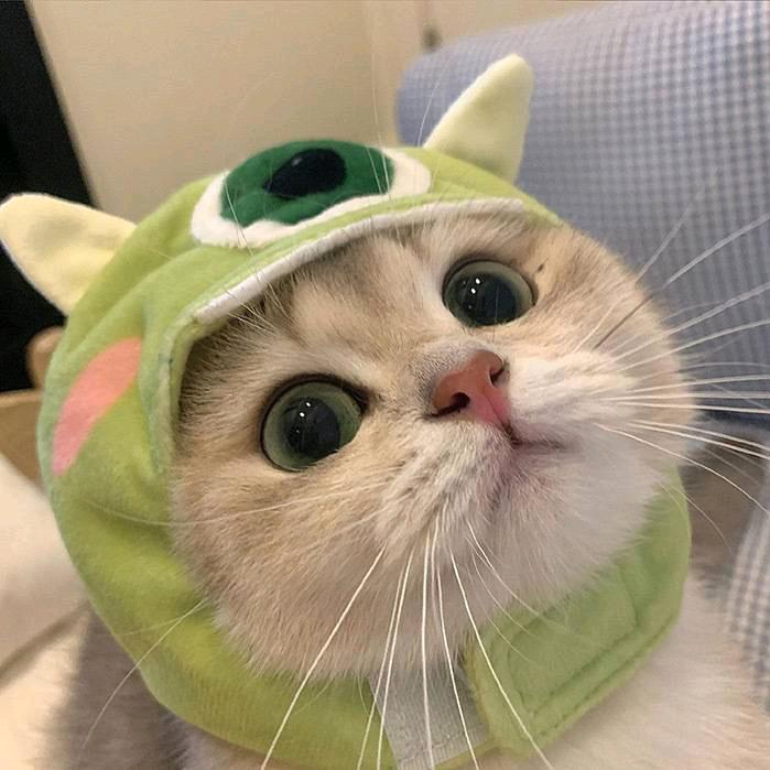 翰翰