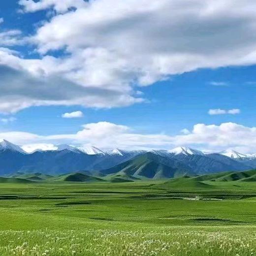 李粹令