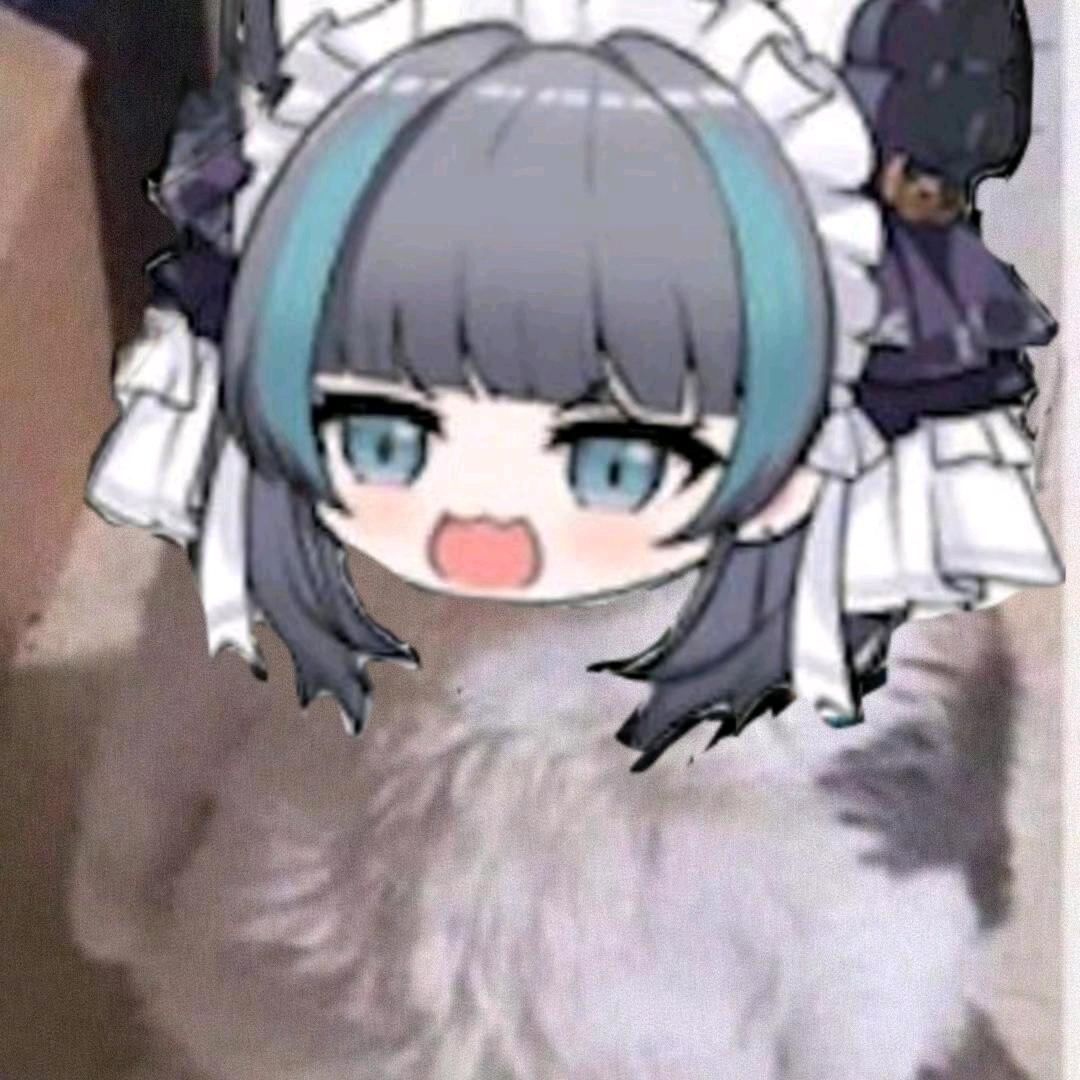 哎喵