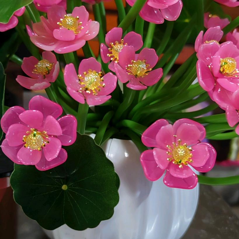 ꧁🌺愿花开如初🌺꧂