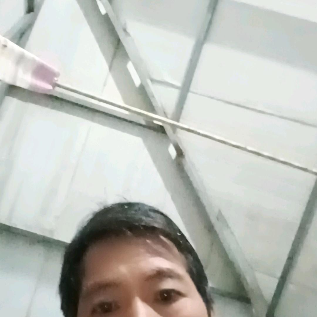 莹莹葡萄园